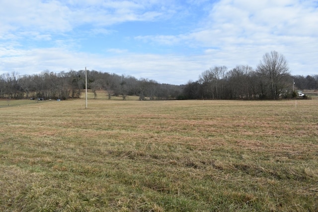 0 Salt Lick Creek Rd, Pleasant Shade TN, 37145 land for sale