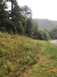 0 Belaire Dr, Copperhill TN, 37317 land for sale