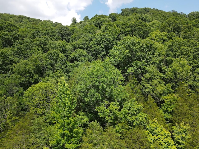 3400 Sycamore Creek Rd, Woodbury TN, 37190 land for sale