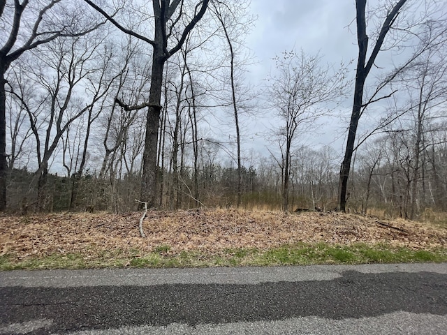 1 Forest Trl, Bumpus Mills TN, 37028 land for sale