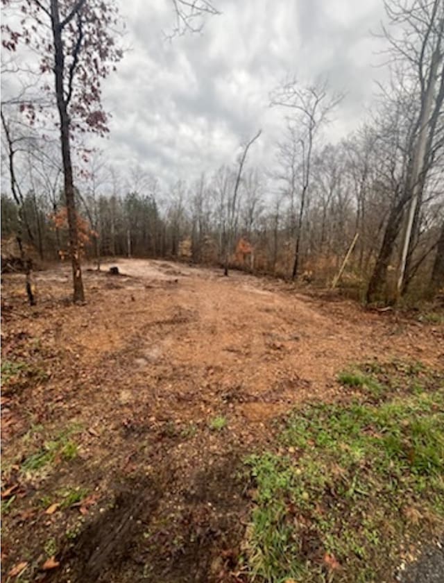 1 Forest Trl, Bumpus Mills TN, 37028 land for sale