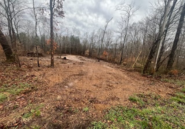 Listing photo 2 for 1 Forest Trl, Bumpus Mills TN 37028