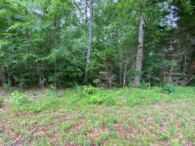 0 Red Bud Cir, Big Sandy TN, 38221 land for sale