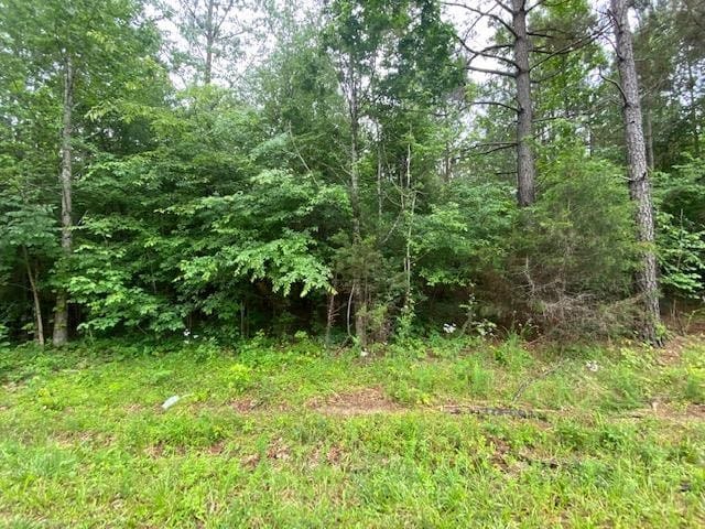 0 Red Bud Cir, Big Sandy TN, 38221 land for sale