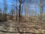 Listing photo 2 for 0 Tobaccoport Rd, Bumpus Mills TN 37028