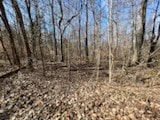 Listing photo 3 for 0 Tobaccoport Rd, Bumpus Mills TN 37028