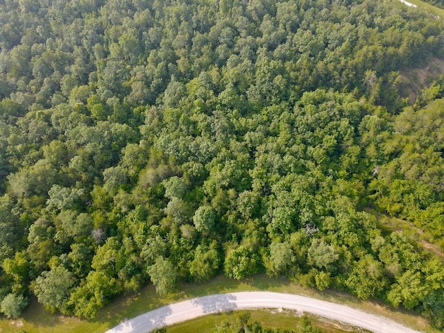 0 Long Branch Rd, Spencer, TN 38585 - photo 5