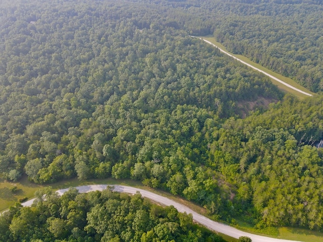 0 Long Branch Rd, Spencer, TN 38585 - photo 7
