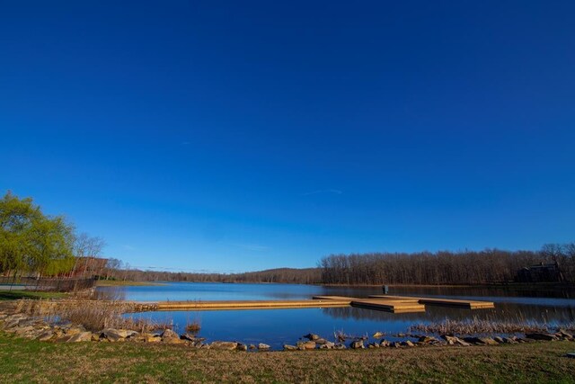 0 Long Branch Rd, Spencer, TN 38585 - photo 17