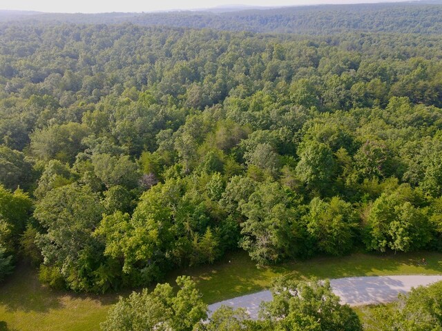 0 Long Branch Rd, Spencer, TN 38585 - photo 9