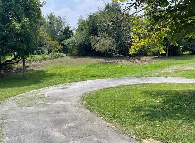 view of home's community with a lawn