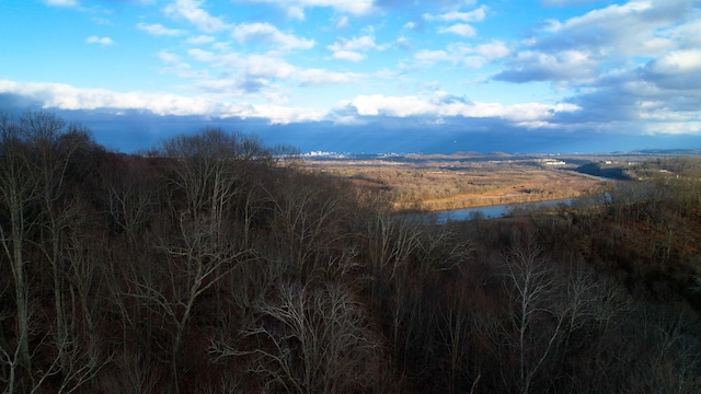 view of mountain feature