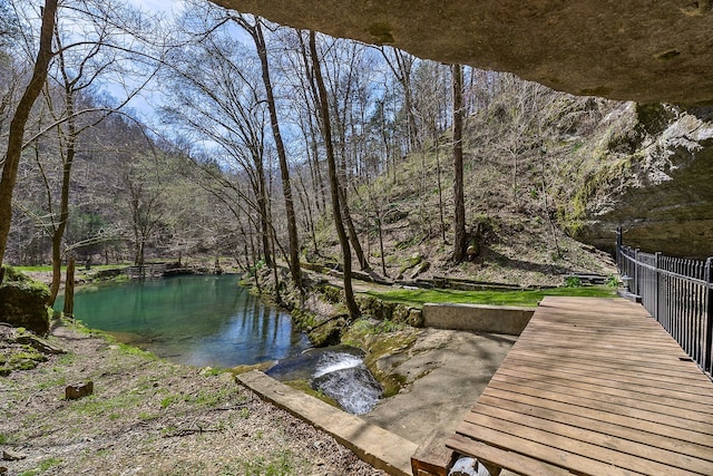 dock area with a water view