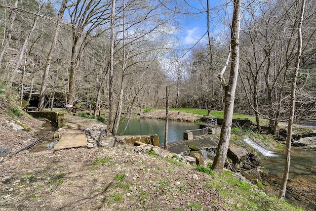 view of property view of water