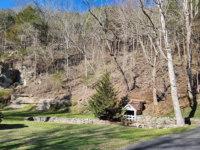 view of home's community featuring a lawn