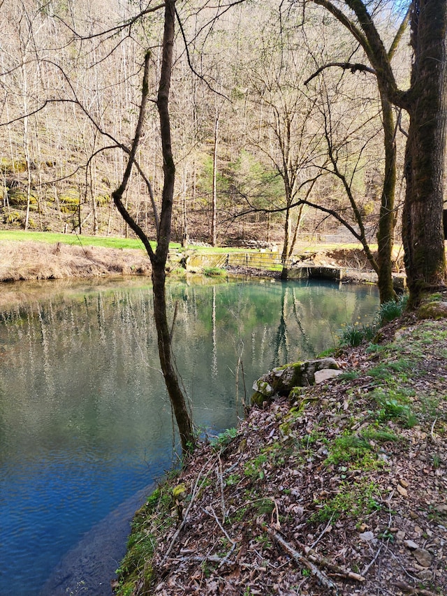 view of property view of water