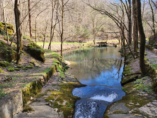 view of water feature