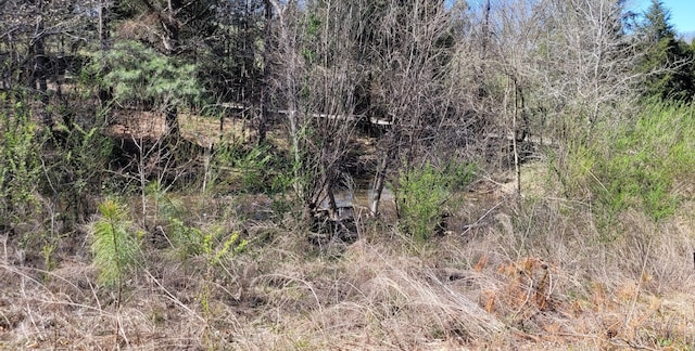0 Overlook Rd, Dover, TN 37058