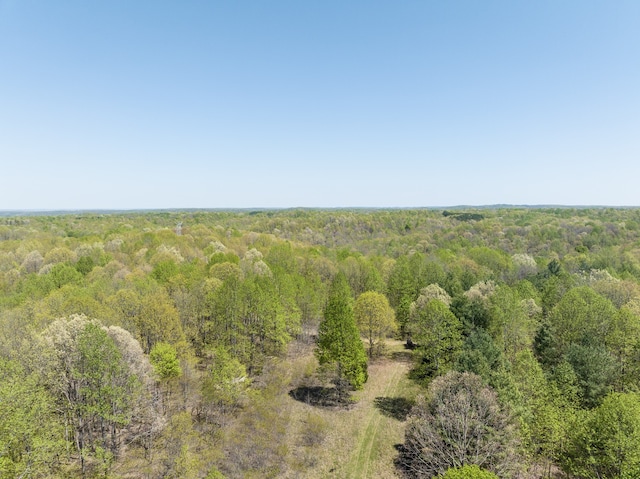 0 Smith Hollow Rd, Mount Pleasant, TN 38474