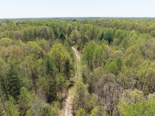 0 Smith Hollow Rd, Mount Pleasant, TN 38474