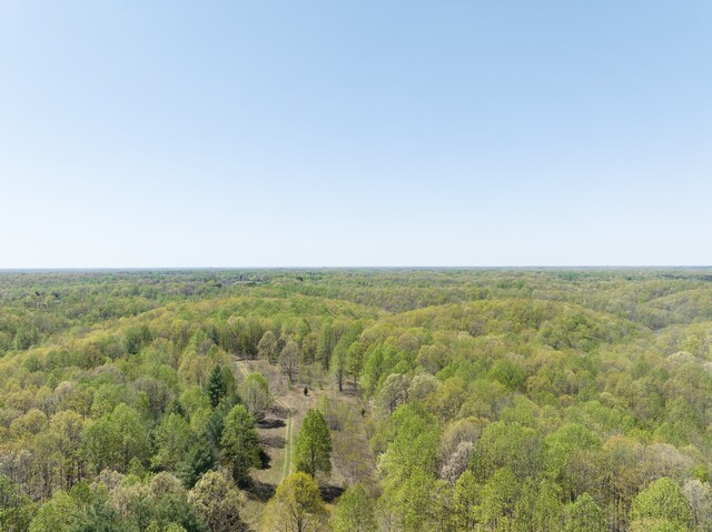 0 Smith Hollow Rd, Mount Pleasant, TN 38474
