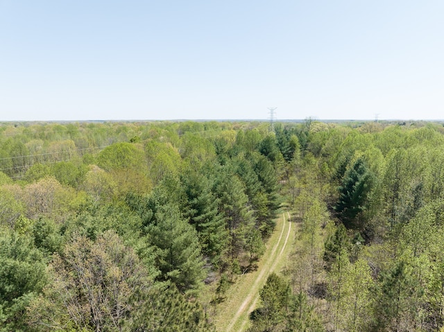 0 Smith Hollow Rd, Mount Pleasant, TN 38474