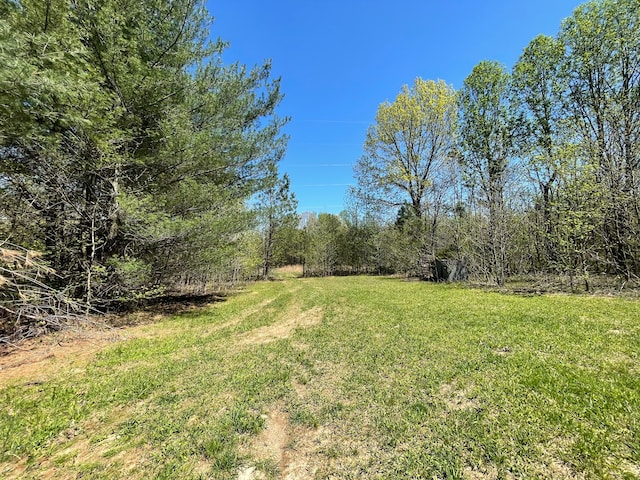 0 Smith Hollow Rd, Mount Pleasant, TN 38474