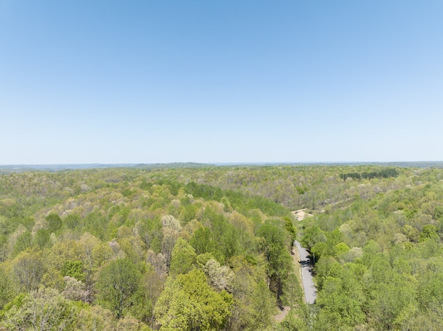 0 Smith Hollow Rd, Mount Pleasant, TN 38474