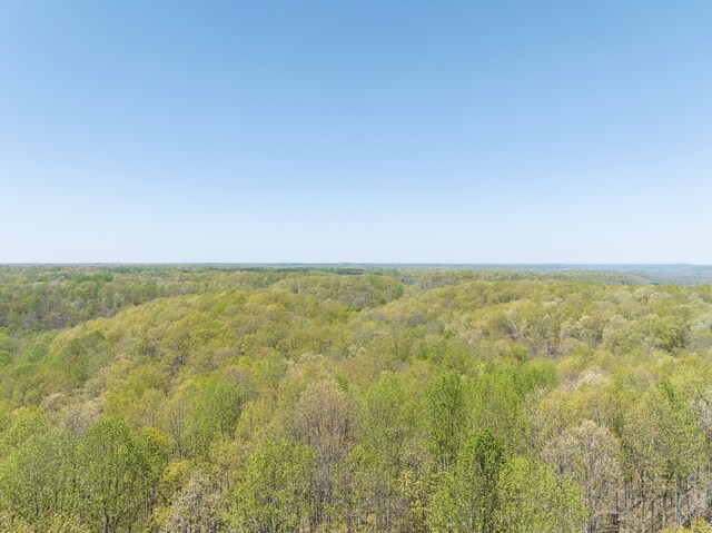0 Smith Hollow Rd, Mount Pleasant, TN 38474