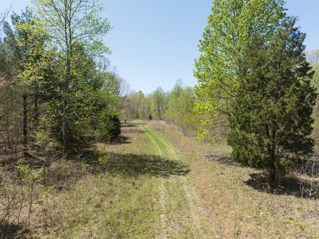 0 Smith Hollow Rd, Mount Pleasant, TN 38474