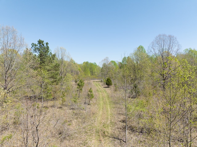 0 Smith Hollow Rd, Mount Pleasant, TN 38474