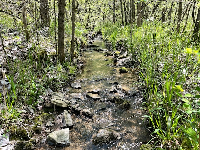 0 Smith Hollow Rd, Mount Pleasant, TN 38474