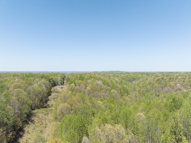 0 Smith Hollow Rd, Mount Pleasant, TN 38474