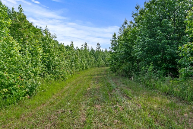 0 Smith Hollow Rd, Mount Pleasant, TN 38474
