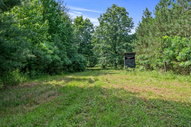 0 Smith Hollow Rd, Mount Pleasant, TN 38474