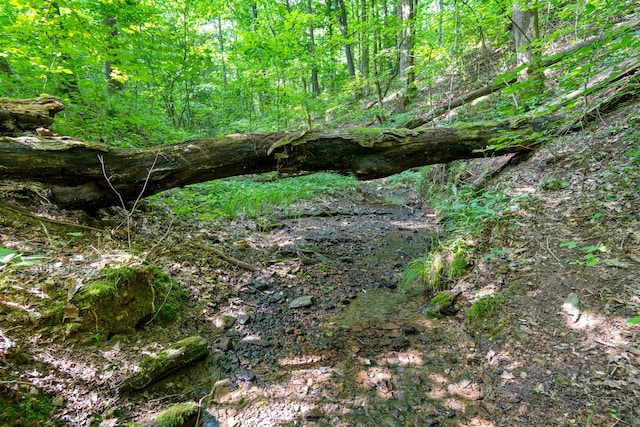 0 Smith Hollow Rd, Mount Pleasant, TN 38474