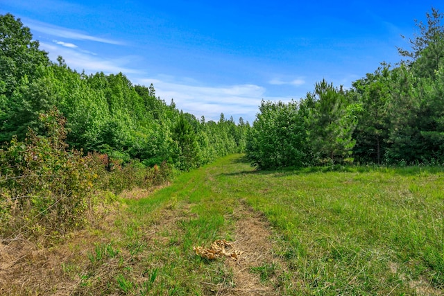 0 Smith Hollow Rd, Mount Pleasant, TN 38474