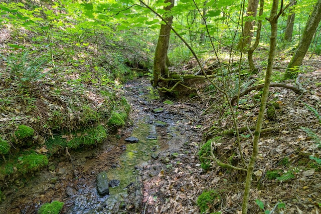 0 Smith Hollow Rd, Mount Pleasant, TN 38474