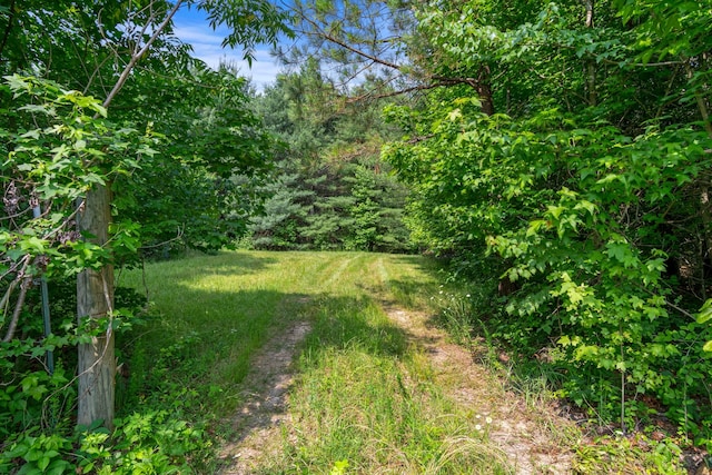 0 Smith Hollow Rd, Mount Pleasant, TN 38474