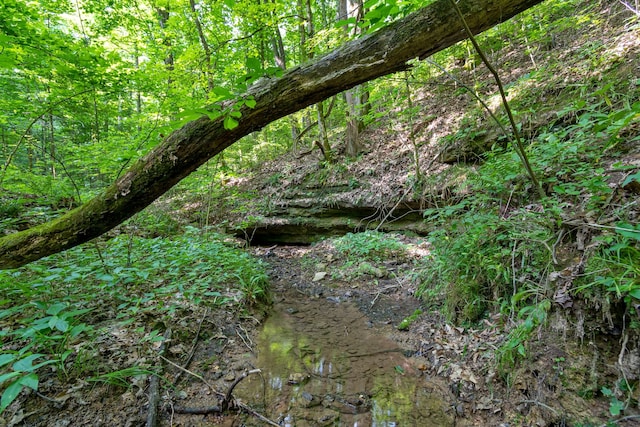 0 Smith Hollow Rd, Mount Pleasant, TN 38474