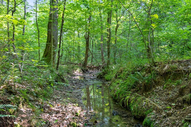 0 Smith Hollow Rd, Mount Pleasant, TN 38474