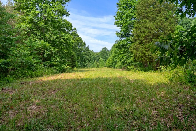0 Smith Hollow Rd, Mount Pleasant, TN 38474