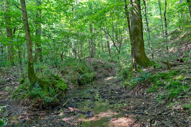 0 Smith Hollow Rd, Mount Pleasant, TN 38474