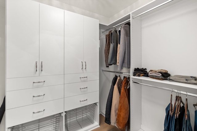 spacious closet featuring light hardwood / wood-style flooring