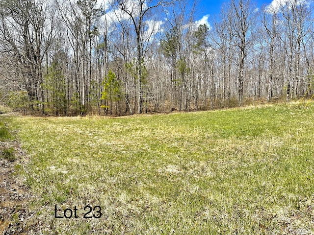 0 Box House Rd, Belvidere TN, 37306 land for sale