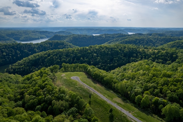 43 Eli, Baxter TN, 38544 land for sale