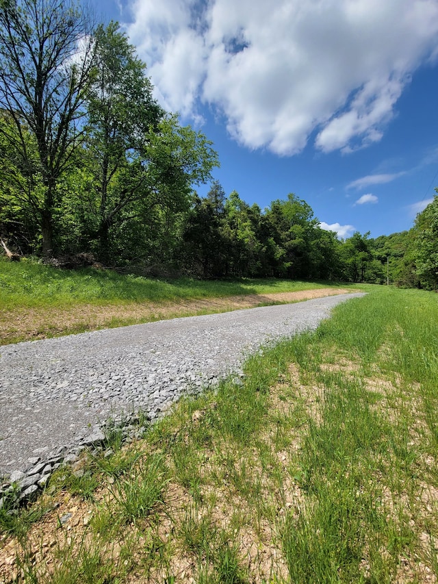 0 Gossburg Rd, Beechgrove TN, 37018 land for sale