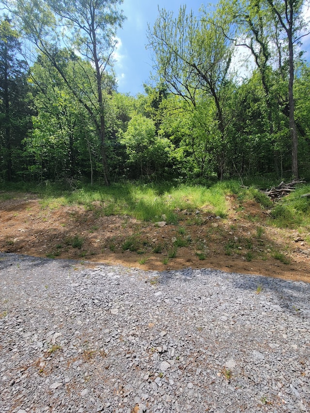 0 Gossburg Rd, Beechgrove TN, 37018 land for sale