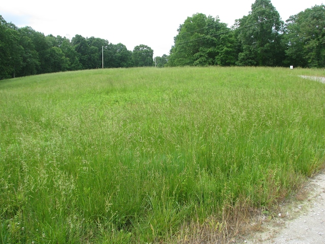 0 Barge Ln, Waverly TN, 37185 land for sale