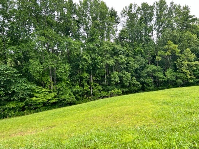 4200 Shiloh Canaan Rd, Palmyra TN, 37142 land for sale